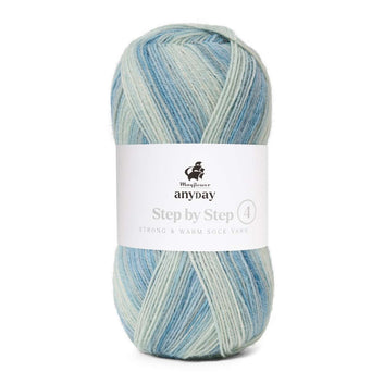 Anyday step by step 4