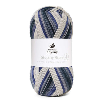 Anyday step by step 4