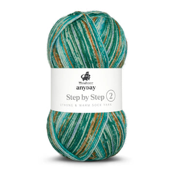 Anyday step by step 2